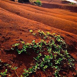《这是我的战争》工作室新作《多重人生》配置需求公开！